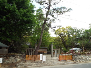 長楽寺の山門 長楽寺動物霊園 ブログ